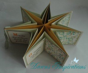 Star Mini Book